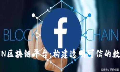 深度解析VIN区块链平台：构建透明可信的数字生态系统