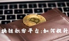 全面解析布比区块链积分平台：如何提升用户体
