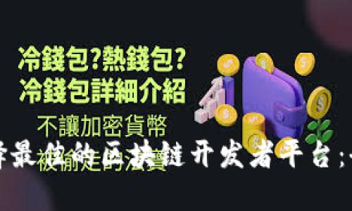 如何选择最佳的区块链开发者平台：全面指南