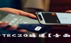 TP钱包是否支持TRC20通道？全面解析与使用指南