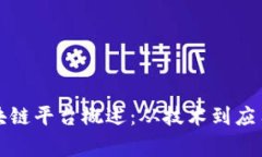 全球国家区块链平台概述：从技术到应用的全景