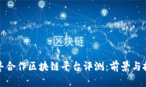 顺丰合作区块链平台评测：前景与挑战